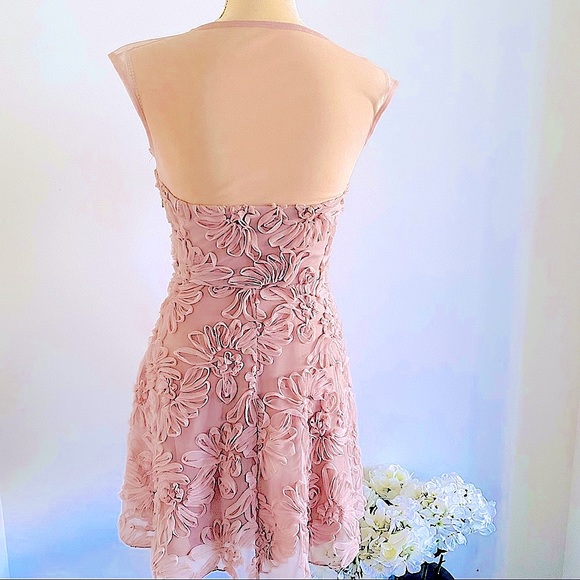 💕Fit and Flare Mesh Dress SZ S - Picture 5 of 15